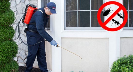 Gülbahçe Bit İlaçlama böcek ilaçlama ve haşere kontrolü — ilaclama-tr.com